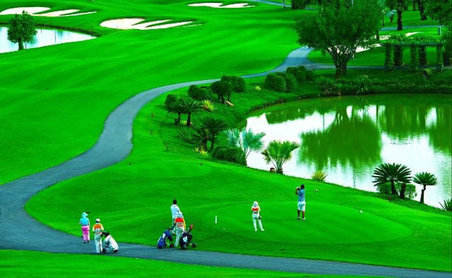 Hướng dẫn lựa chọn và sử dụng phần mềm quản lý sân golf hiệu quả